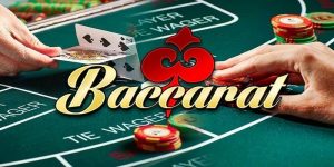 Phần mềm dự đoán Baccarat